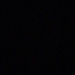 Meet your Posher, Riley